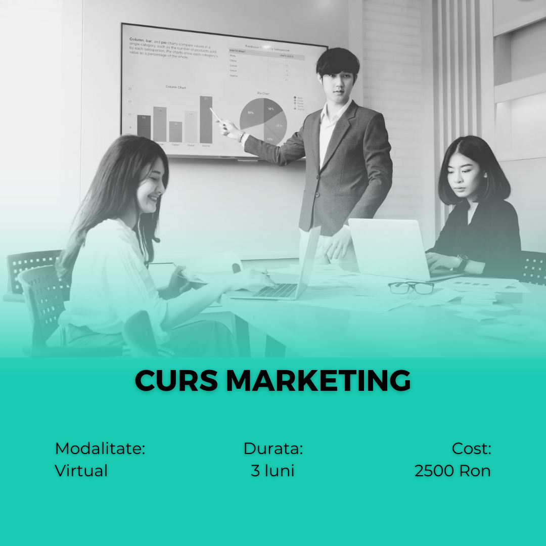 Curs Marketing prin Video - Image 2